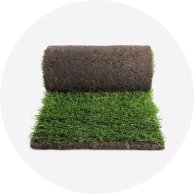 A roll of grass sod.