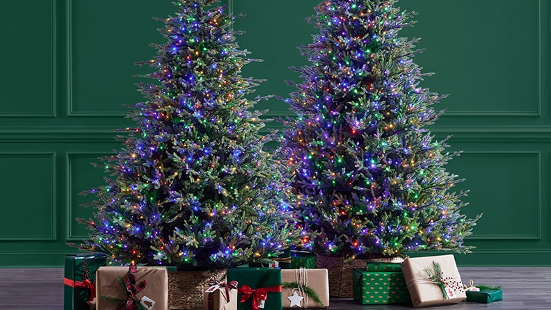 The Holiday Aisle® Christmas Tree Lighted Display & Reviews