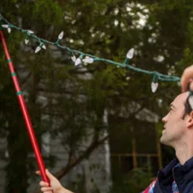 christmas light hanging pole for trees