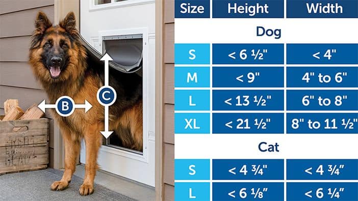 can cats use dog doors