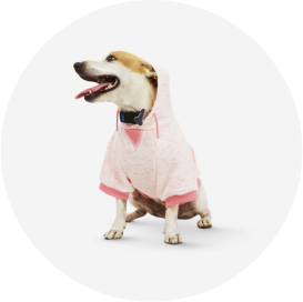 Animal & Pet Care