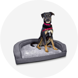 https://mobileimages.lowes.com/marketingimages/beaca9d2-5e02-4f94-98ff-2155b9f93728/animal-and-pet-care-dog-beds.png?im=Scale,width=1,height=1
