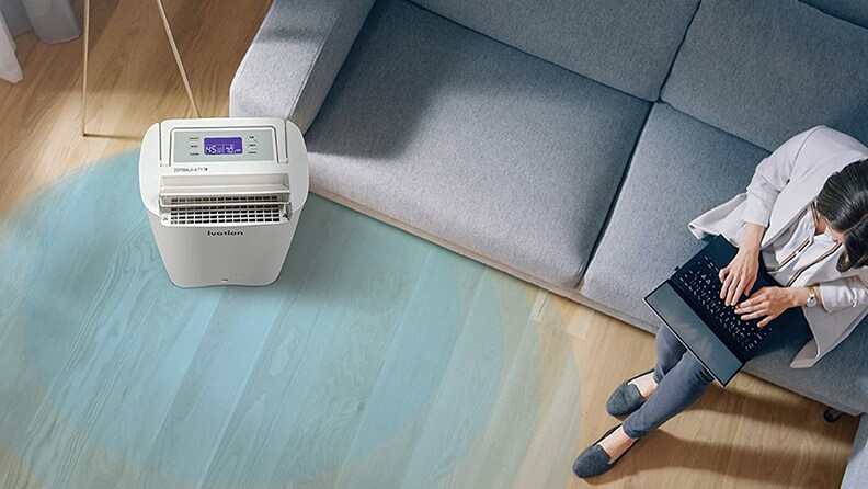Managing (And Understanding the Importance Of) Indoor Humidity Levels