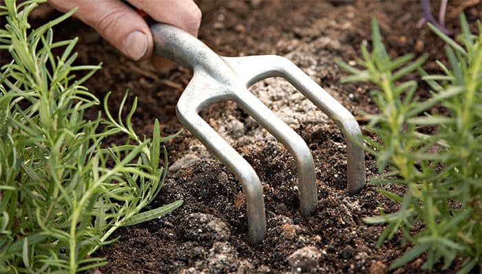 How to Test Your Garden Soil's pH Level in 4 Simple Steps