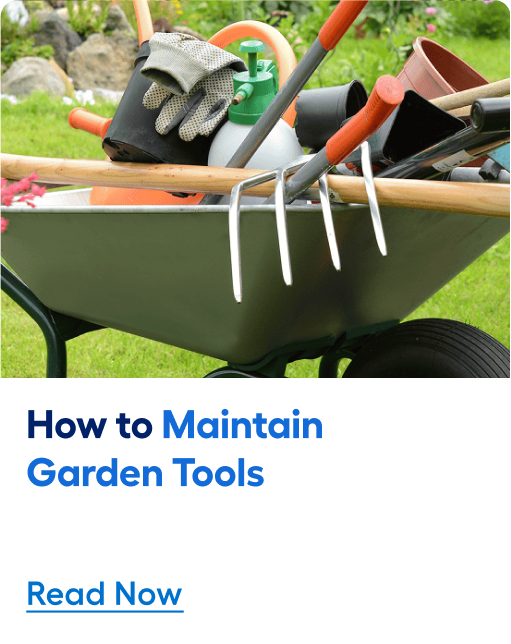 How to maintain garden tools. Read now.