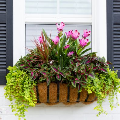 outdoor potted flower arrangements