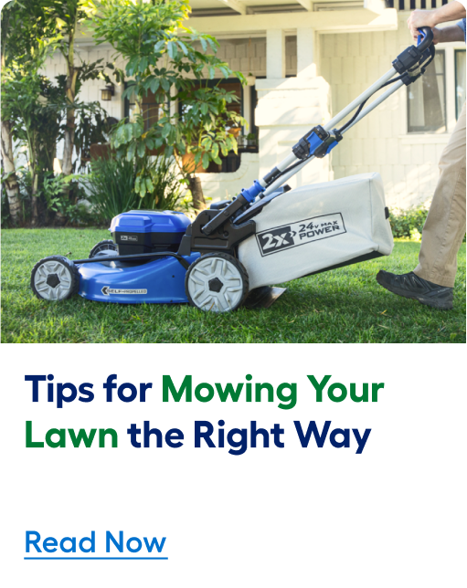 Tips for mowing your lawn the right way. Read now.