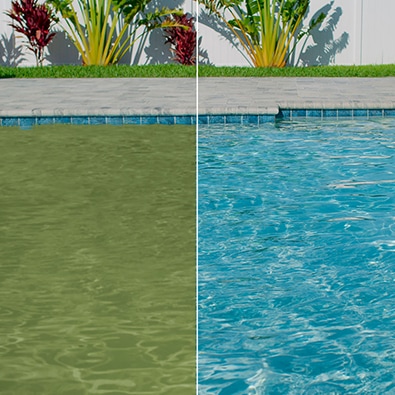 Side by side photos of pool water with green algae and then clear pool water.