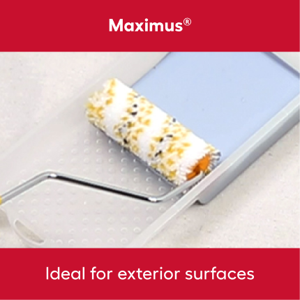 Maximus. Ideal for exterior surfaces.