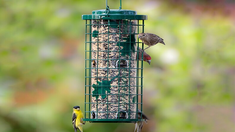 GARDEN ORNAMENTAL PLASTIC BIRD FEEDING FOOD BATH TABLE WITH SHELTER OUTDOOR NEW 