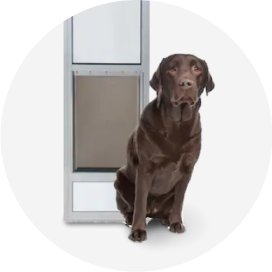 https://mobileimages.lowes.com/marketingimages/ecf3df2f-826d-44f9-b2cd-793e7419a586/animal-and-pet-care-dog-doors.png?im=Scale,width=1,height=1