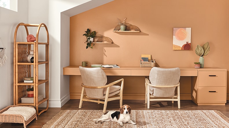 Orange Interior Paint at