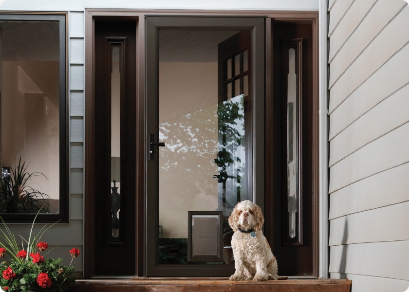 Exterior Doors at Lowes