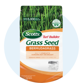A bag of Scotts Turf Builder Bermudagrass grass seed.