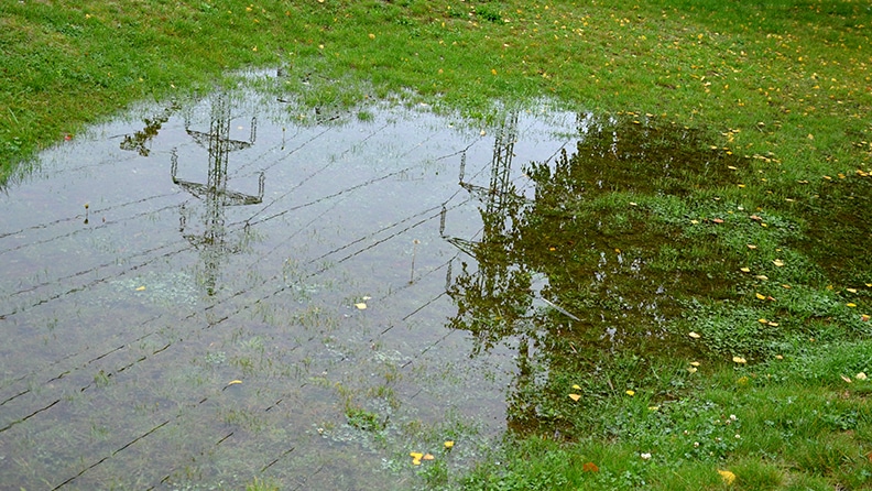 A pool of standing water on a lawn.
