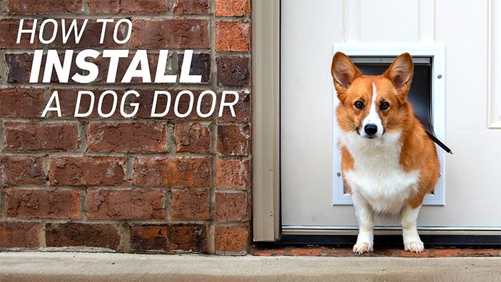 Install A Pet Door, Installing A Pet Door In Garage