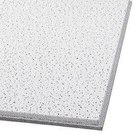 2 X Ceiling Tiles At Lowes Armstrong Ceilings Common 24 In X Actual 23 781