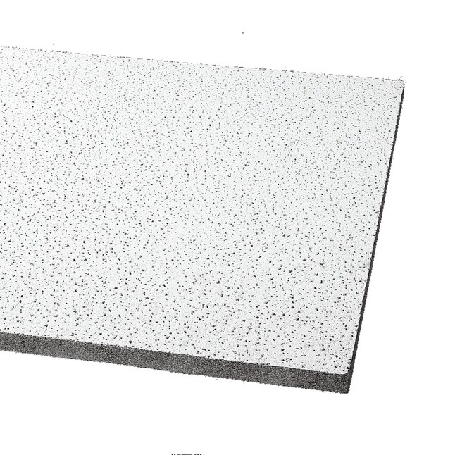 Armstrong Ceilings 24-in x 24-in Fissured 16-Pack White Fissured 15/16-in Drop Acoustic Panel Ceiling Tiles Armstrong Ceilings 24-in x 24-in Fissured 16-Pack White Fissured 15/16-in Drop Acoustic Panel Ceiling Tiles
