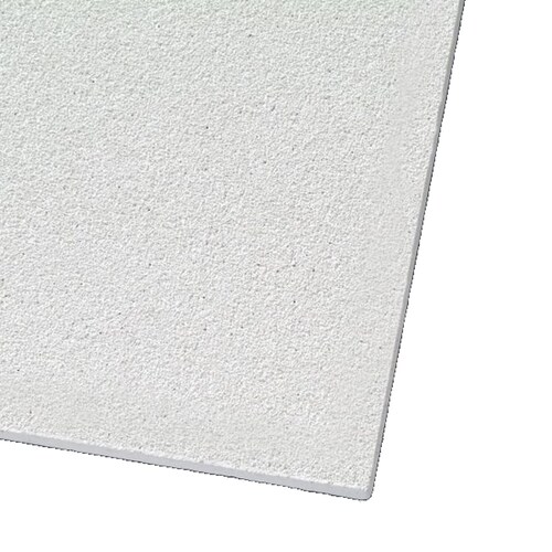 Armstrong Ceilings Common 48 In X 24 In Actual 47 719 In