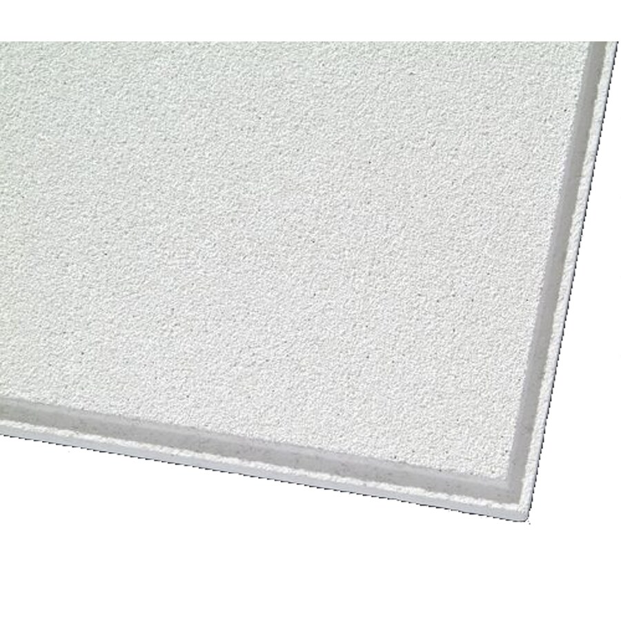 Armstrong Ceilings Common 48 In X 24 In Actual 47 73 In