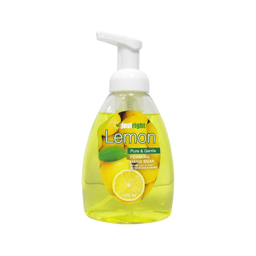 Maintex Just Right 16fl oz Foaming Hand Soap in the Hand Soap