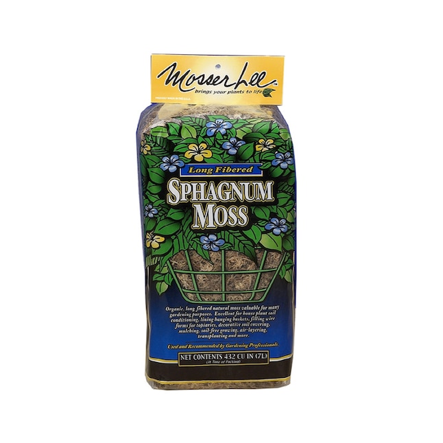 Shop Live Sphagnum Peat Moss For Plants with great discounts and
