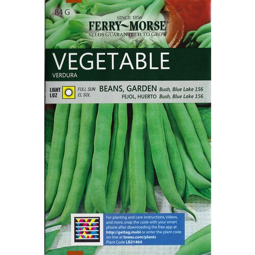 Ferry-Morse Beans Garden Bush Blue Lake 156 Vegetable Seed Packet in ...