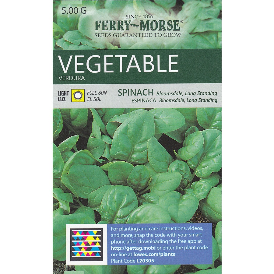 Shop Ferry-Morse Spinach Bloomsdale Long Standing ...