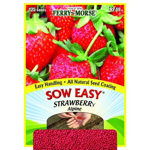 FerryMorse Strawberry Vegetable Seed Packet in the Flower Seeds