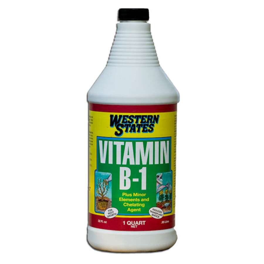 Liquinox 32oz Vitamin B1 Mineral Supplement in the Plant