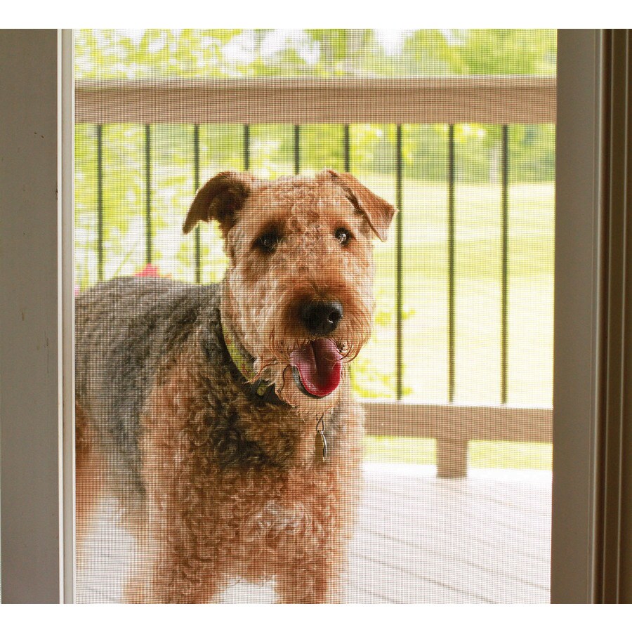 Saint-Gobain ADFORS 70587 Replacement-Screens-Tools - View #6