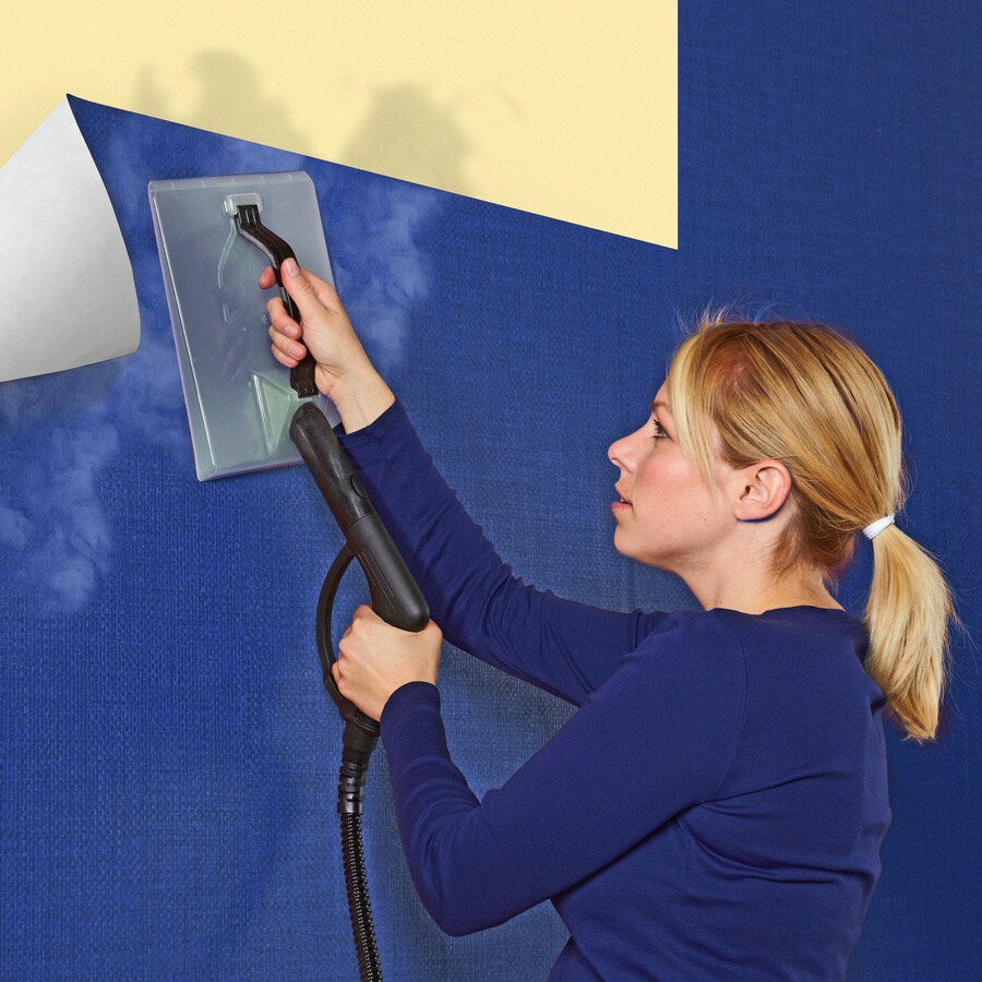 HomeRight SteamMachine Steam Plate Wallpaper Steamer at