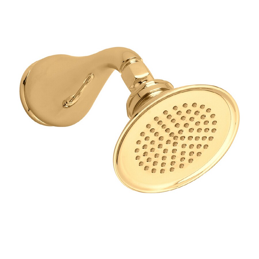 American Standard Polished Brass 1 Spray Pattern Standard Showerhead at ...