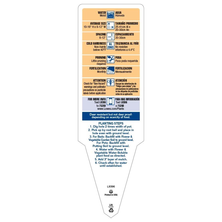 Lowe's NURSERY annuals - Thumbnail View #4
