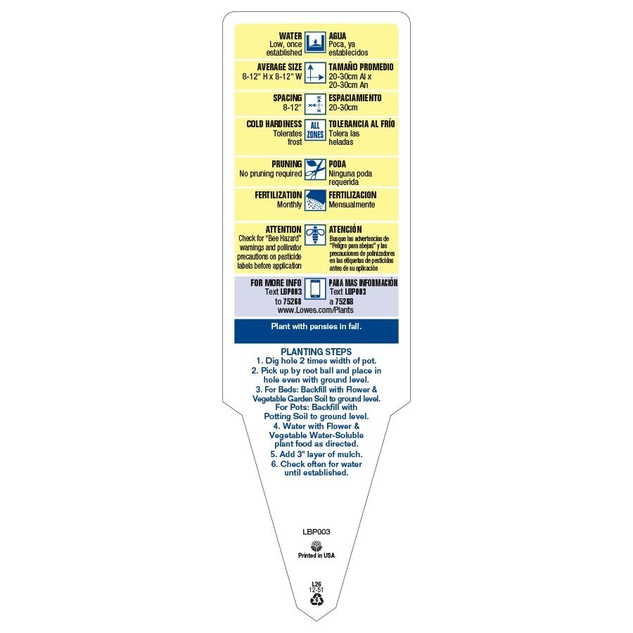 Lowe's 899609 annuals - View #4
