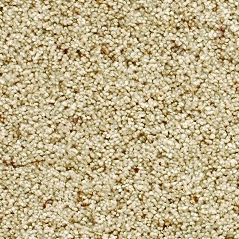 Design Zone Carpet Tile Panels 545080402458 Birch Bark Seasons Carpet Tiles 40 Sq. Ft. per Carton