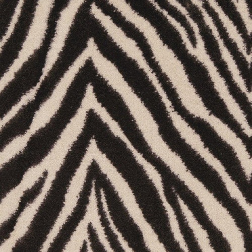STAINMASTER Zebra Carpet Sample in the Carpet Samples department at ...