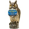 Dalen Great Horned Owl Scarecrow Bird Repellent Decoy at Lowes.com