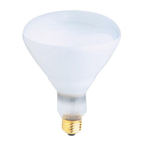 Feit Electric 500Watt Replacement Pool Light Bulb at