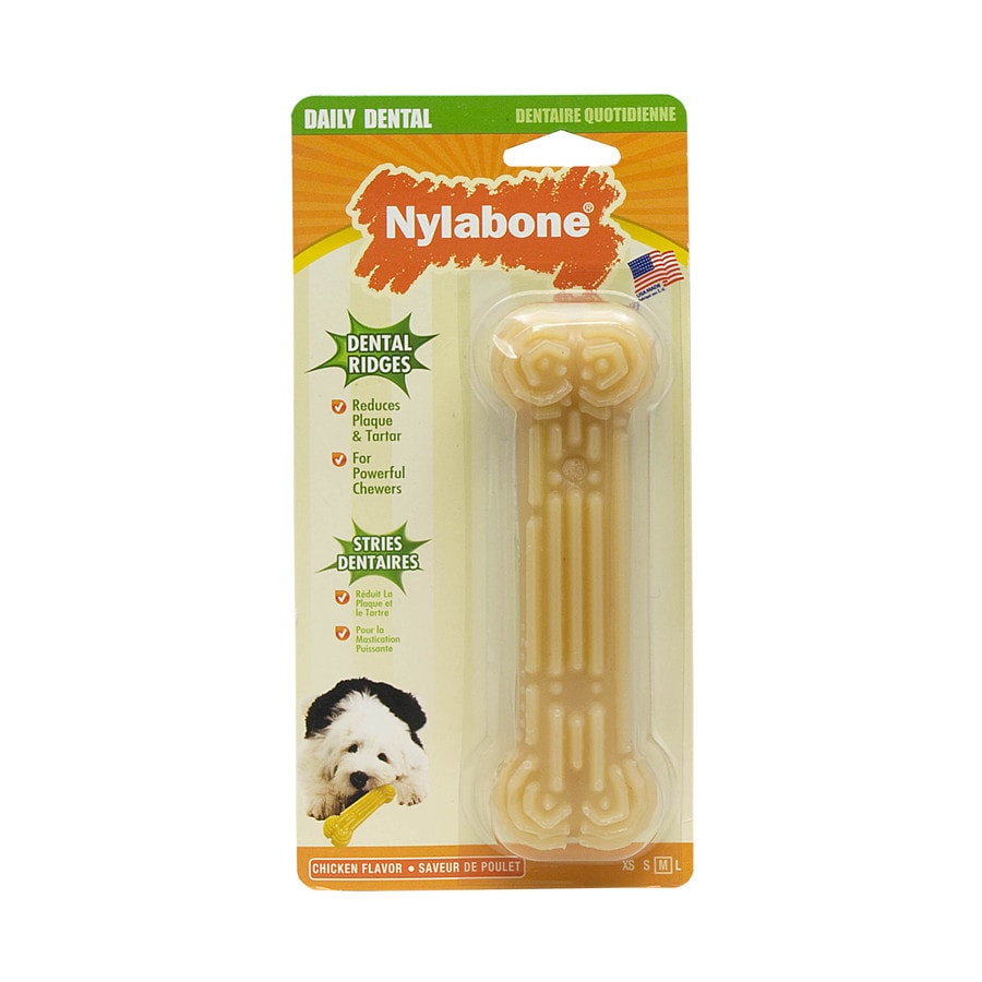 Nylabone Flavored Nylon Chew Toy At Lowes.com