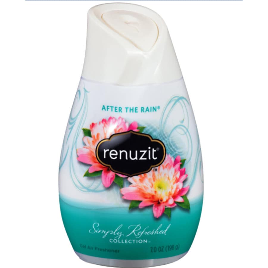 Renuzit AIR After the rain Gel Air Freshener at