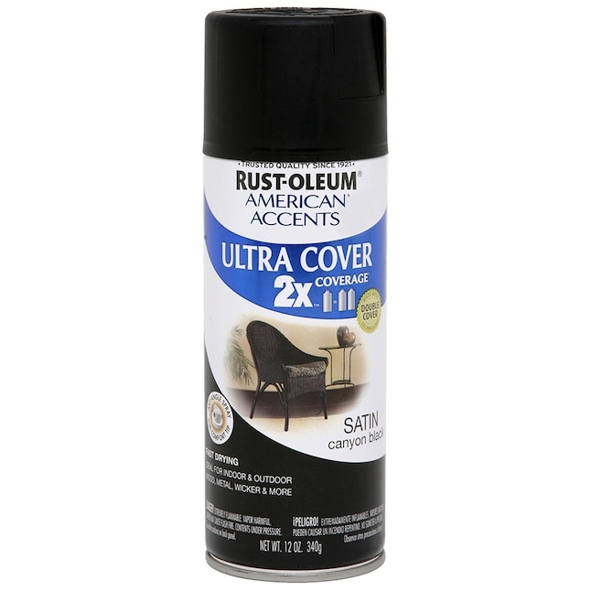 Rust-Oleum 269443 12-oz Canyon Black Satin Spray Paint