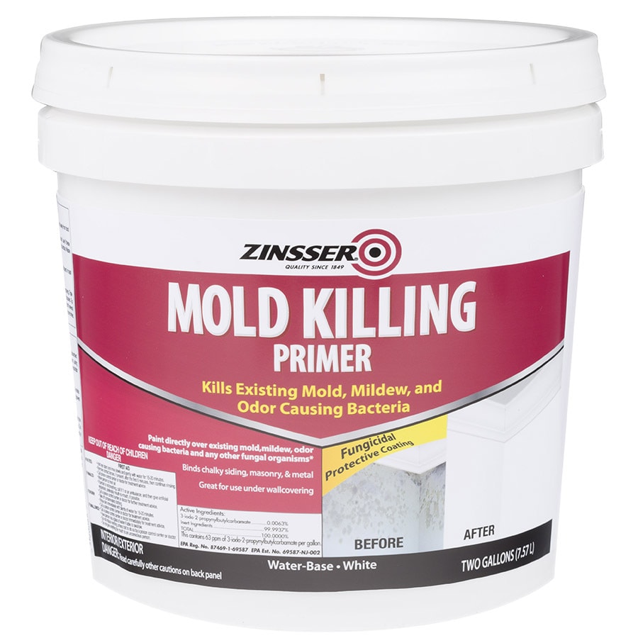 Zinsser Mold Killing Interior Exterior Multi Purpose Water Based