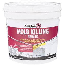 Mold killing primer