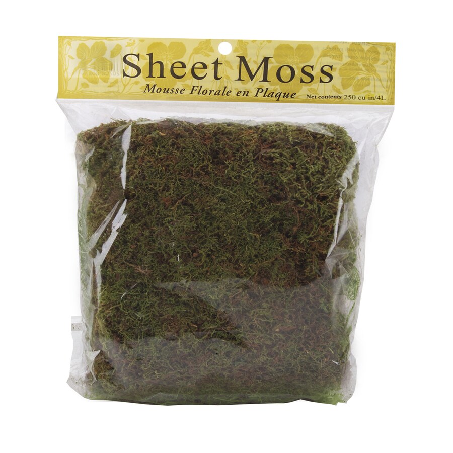 peat moss lowes download free