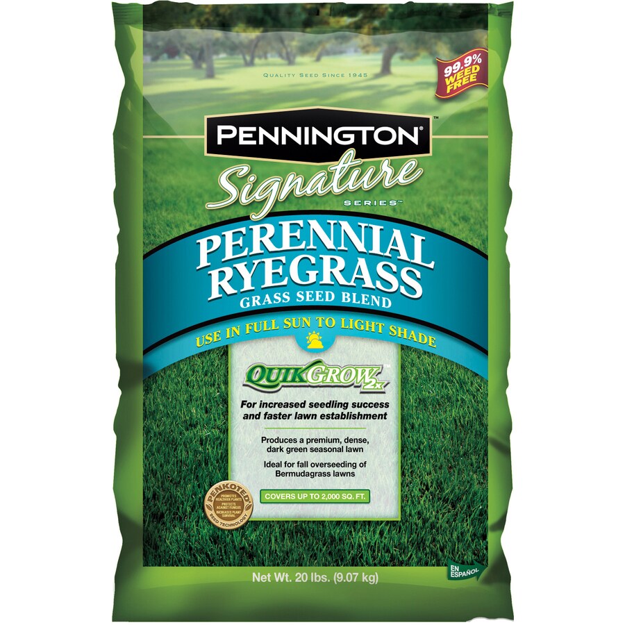 Pennington Signature 20-lb Ryegrass Seed at Lowes.com