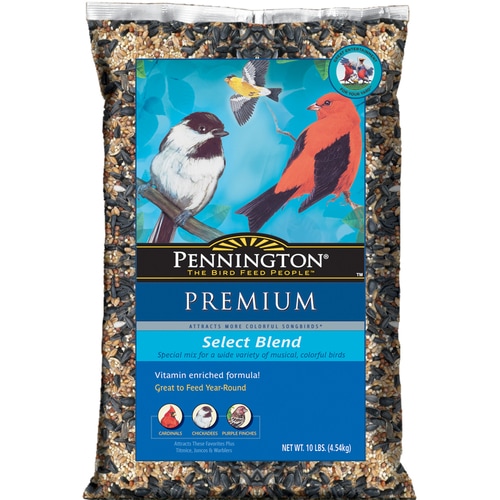 Pennington Premium Bird Seed at Lowes.com