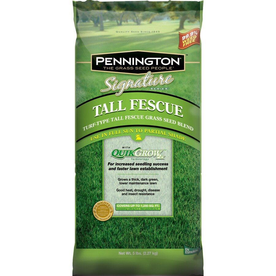 Pennington Signature Fescue Grass Seed In The Grass Seed Department At