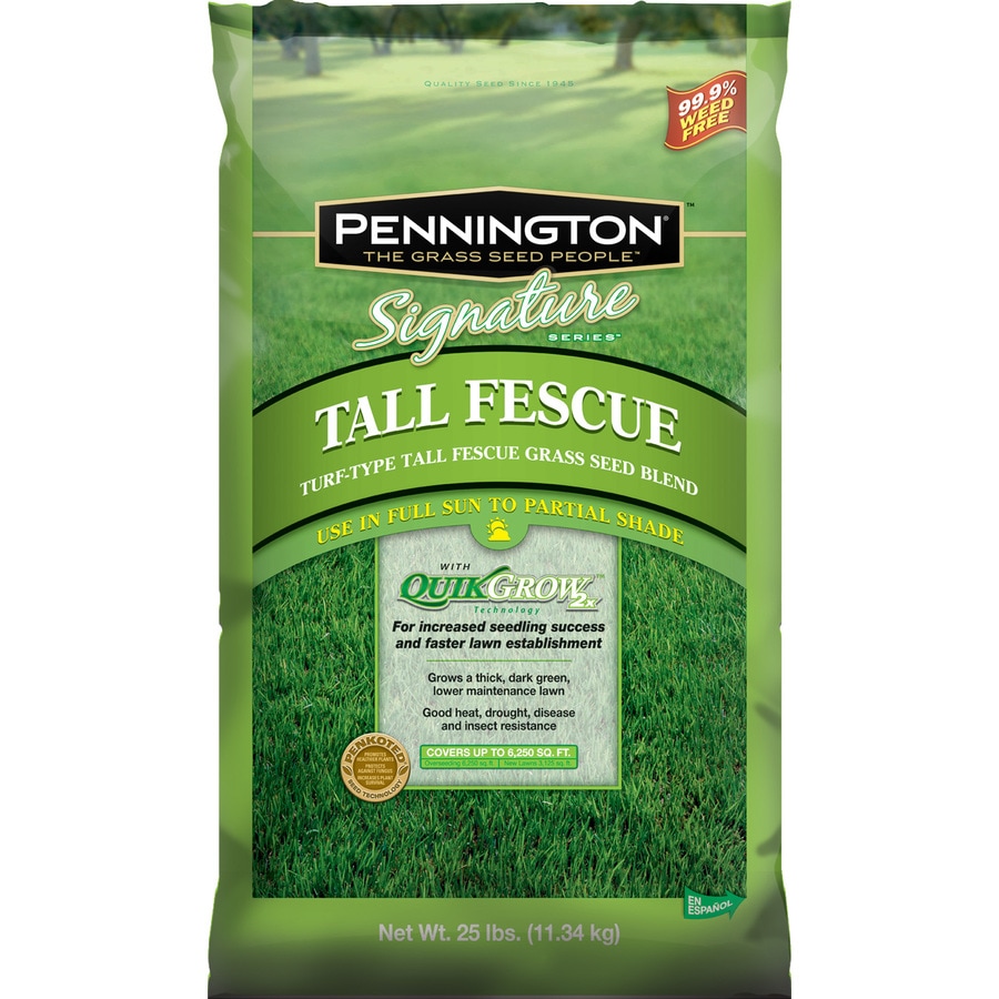Pennington Signature Fescue Grass Seed in the Grass Seed department at