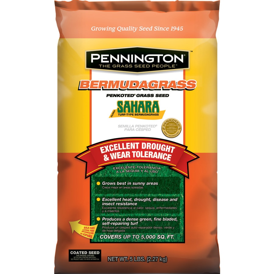 Shop Pennington Sahara 5-lb Bermuda Grass Seed At Lowes.com